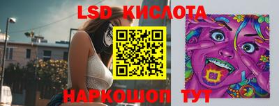 стафф Камышлов