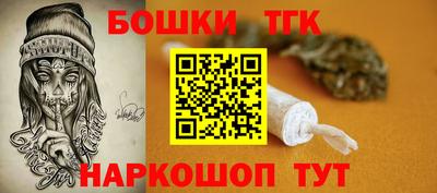 индика Кандалакша