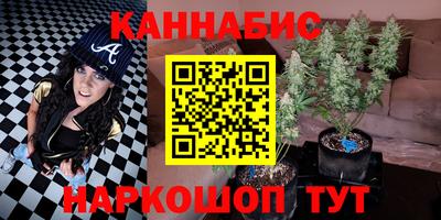 стафф Камышлов