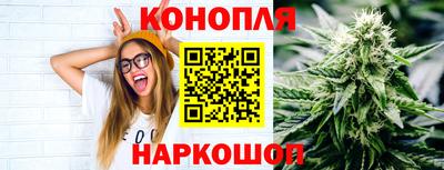 стафф Камышлов
