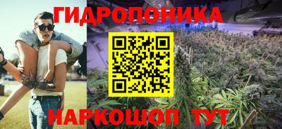 стафф Камышлов