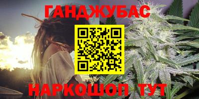 стафф Камышлов