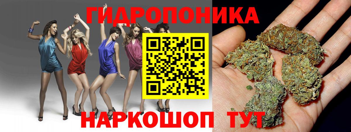 Йошкар-Ола  Бошки Шишки ГИДРОПОН  Бошки марихуана планчик  Конопля марихуана  Вход с VPN 